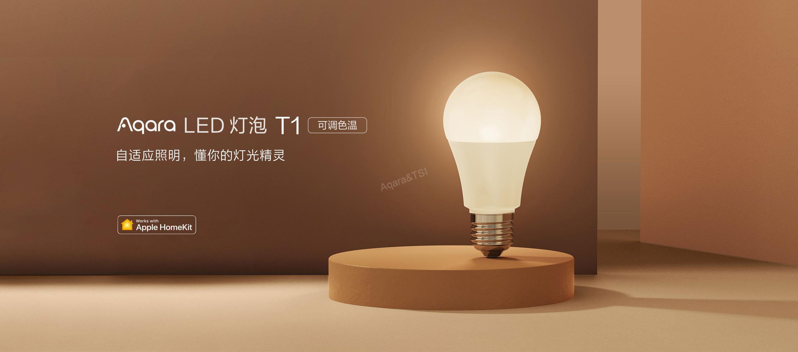 LED燈泡T1
